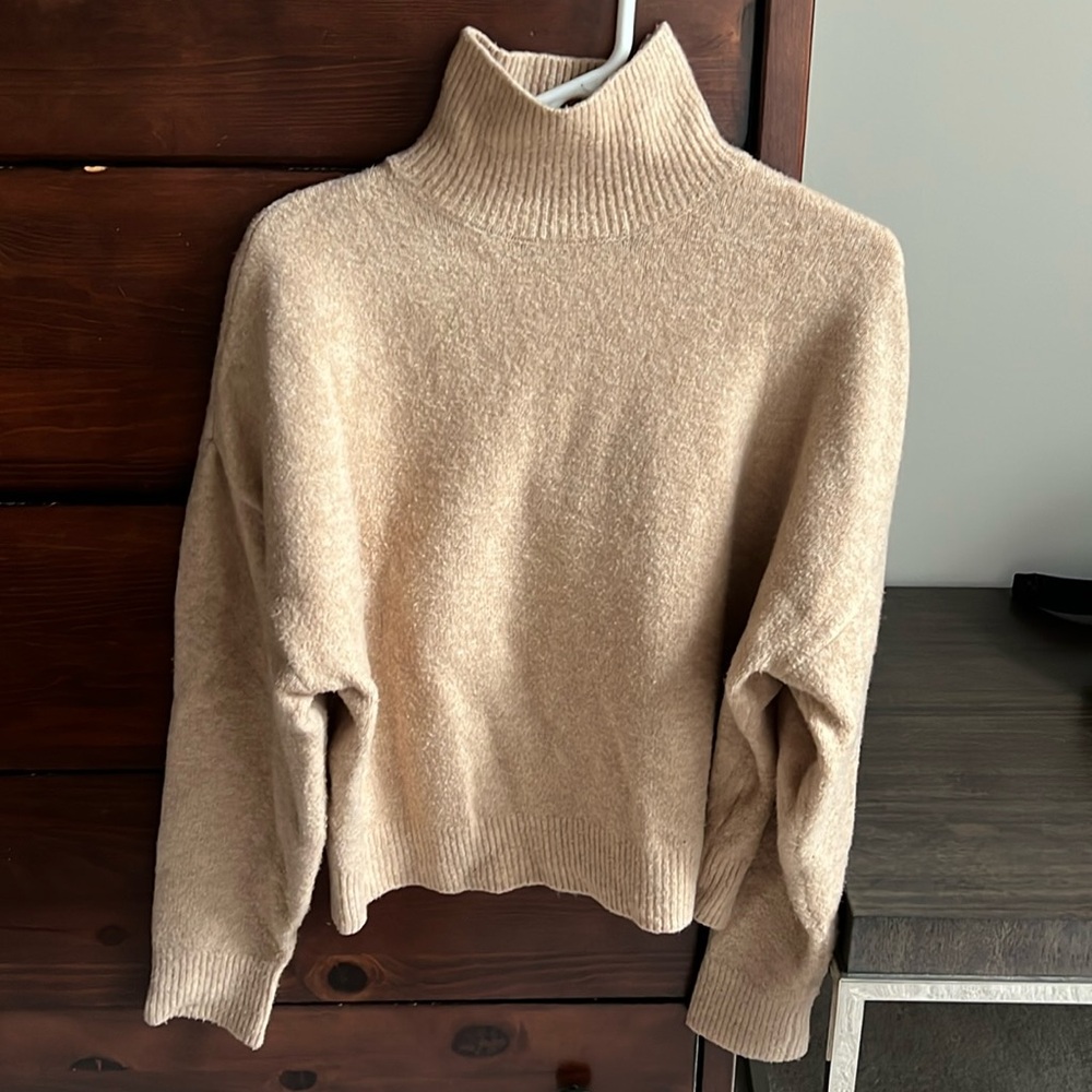 Zara Beige turtleneck sweater